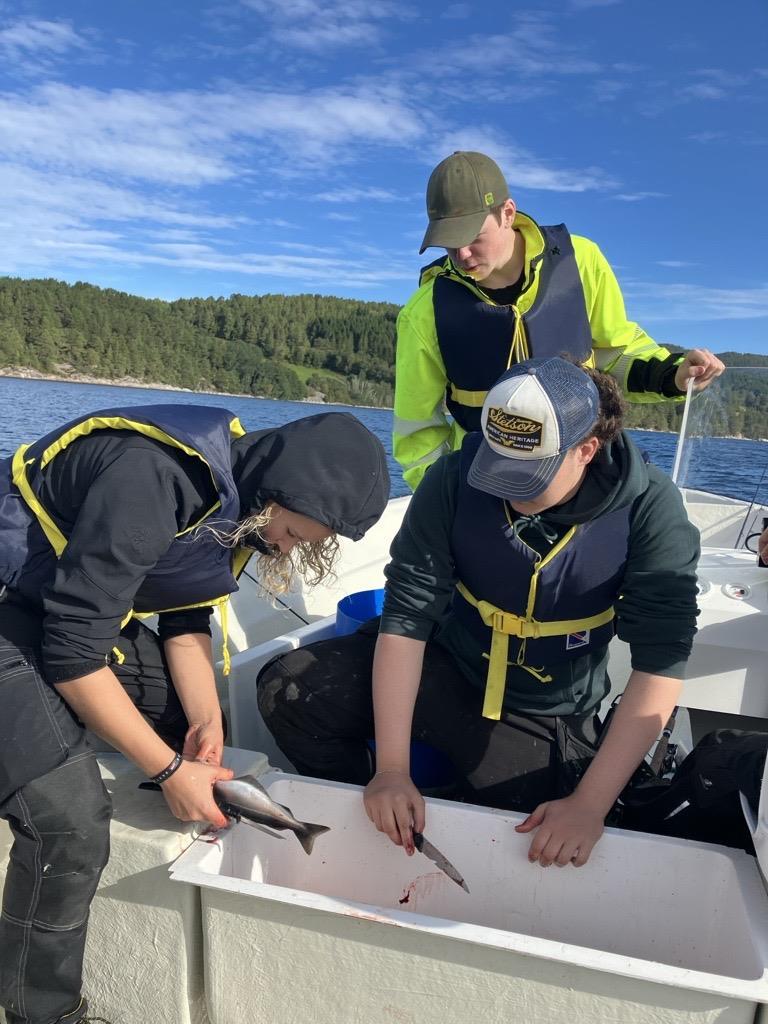Elever ved naturbruk som fisker i båt - Klikk for stort bilde