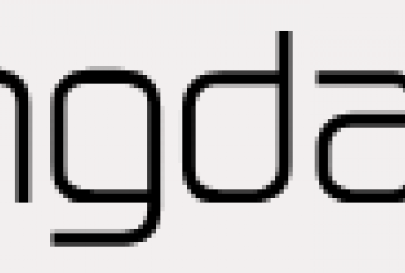 Logo Ungdata